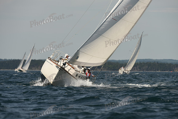 2016 Chester Race Week A_0825