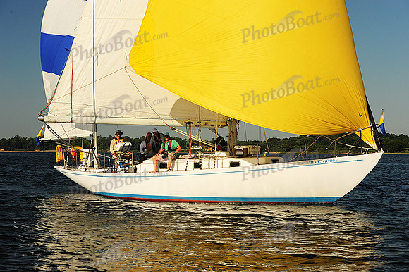2015 Gov Cup D 216