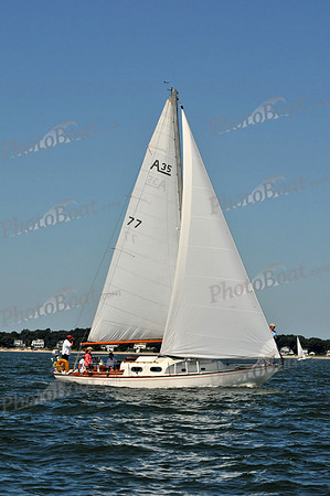2010 Leukemia Cup 439