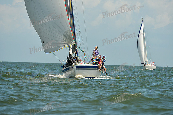 2015 Southern Bay Race Week C 1565