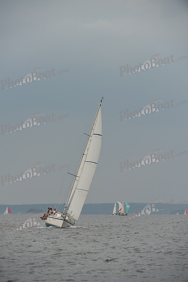 2016 Chester Race Week D_0578