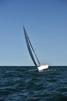2021 Vineyard Race B 1858