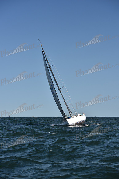 2021 Vineyard Race B 1858