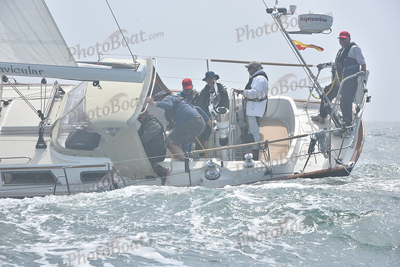 2022 Newport Bermuda_1387
