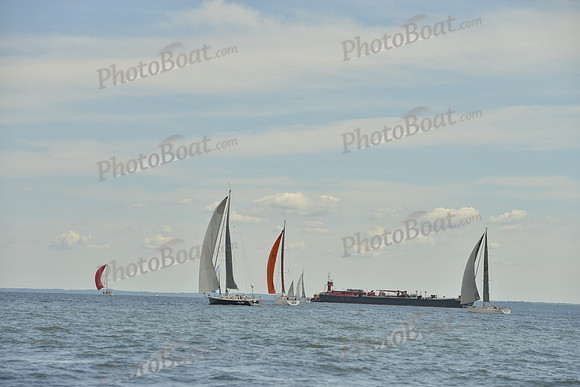 2016 Vineyard Race A_0918