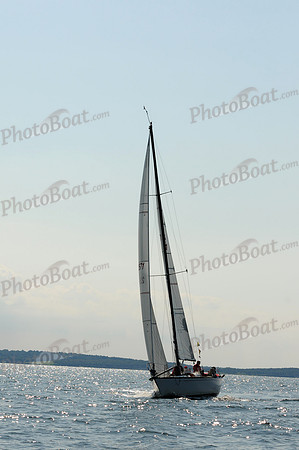 2011 Vineyard Race A 1487
