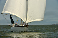 2016 Southern Bay Race Week B_0234