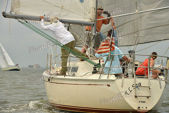 2016 Southern Bay Race Week A_0393