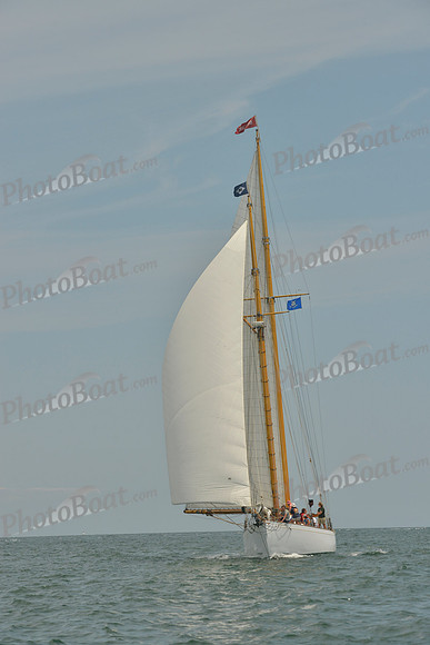 2018 Vineyard Cup B_0241