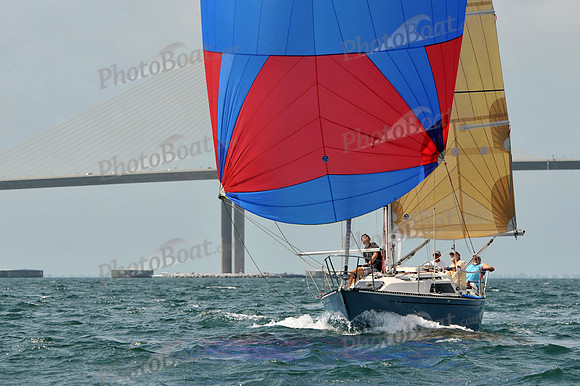 2012 Suncoast Race Week B 482