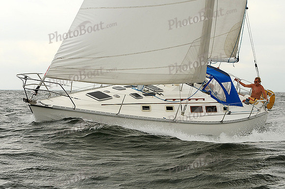 2012 Cape Charles Cup A 794