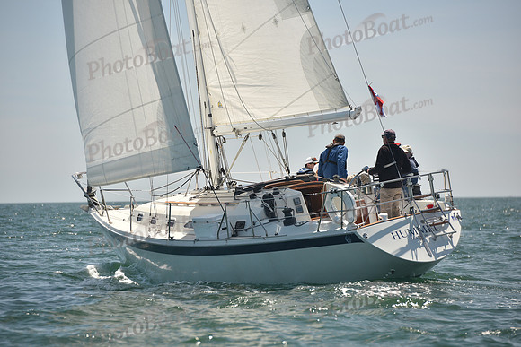 2024 Figawi 0559
