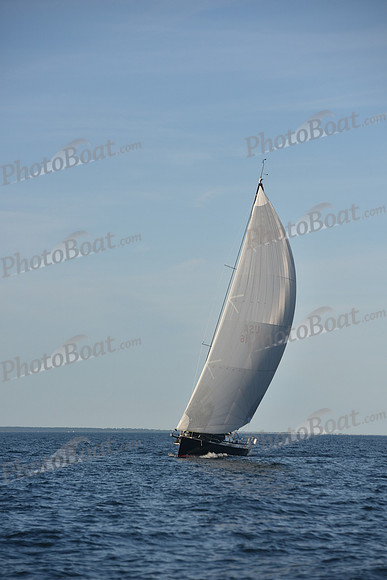 2019 Vineyard Race B_0317