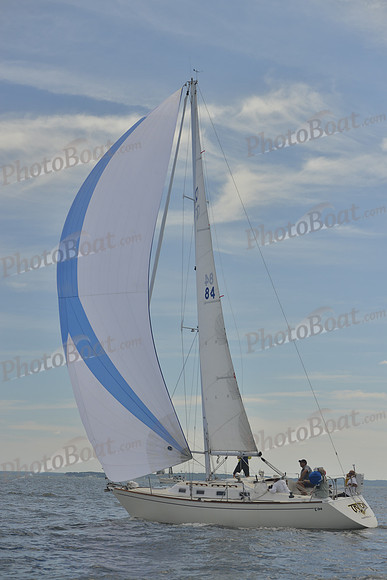 2016 Vineyard Race A_0450