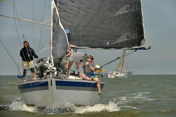 2016 Southern Bay Race Week B_0046