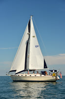 2015 Cape Charles Cup C 230