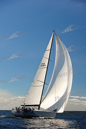 2014 Vineyard Race A 2024