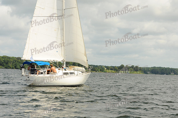 2011 Gov Cup D 256