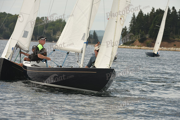 2016 Chester Race Week F_0242