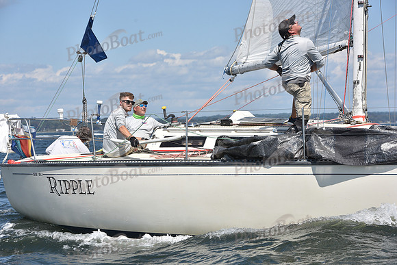 2020 Vineyard Race A_0431
