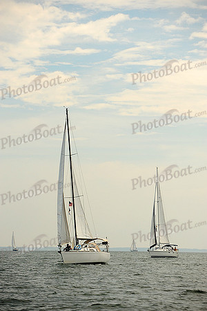 2014 Cape Charles Cup B 282