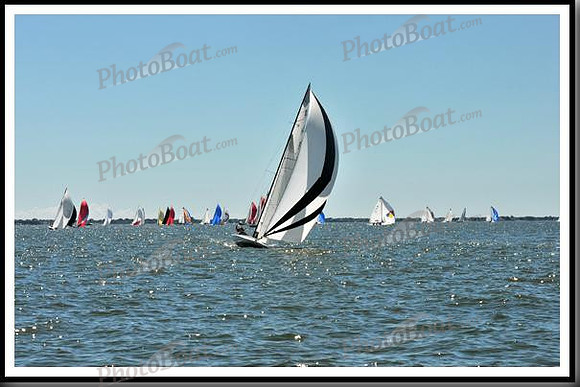 proof_2010_EScows_D 311