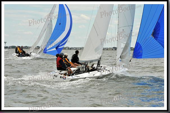 proof_2010_EScows_A 954