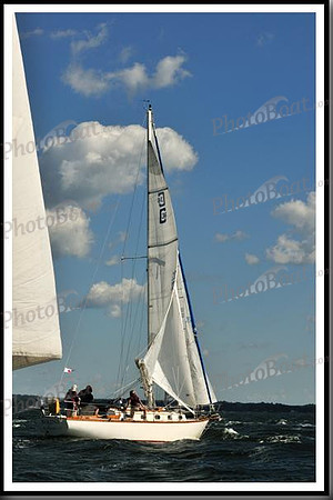 proof_2010_Vineyard_Race_0097