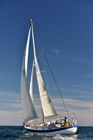 2016 Newport Bermuda Race_1137