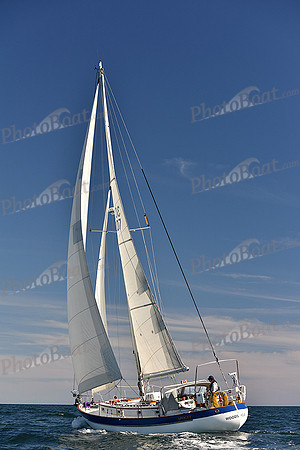 2016 Newport Bermuda Race_1137