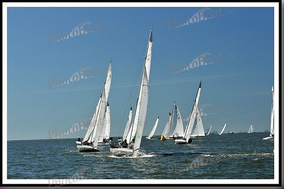 proof_2010_EScows_D 203