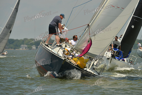 2016 Southern Bay Race Week F_1086