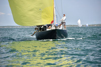 2019 Figawi_1257