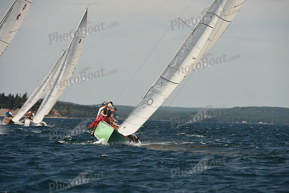 2016 Chester Race Week A_1186