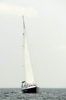 2013 Vineyard Race B 148