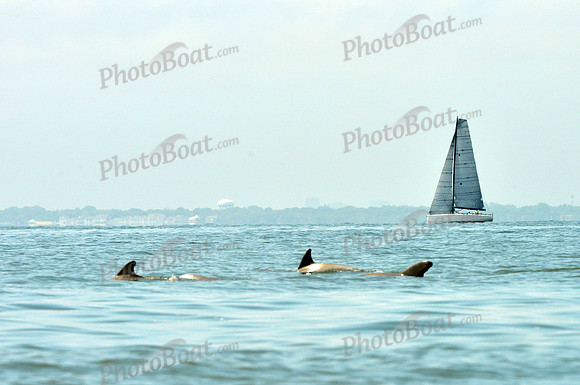 2016 Southern Bay Race Week E_0037