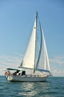 2015 Cape Charles Cup C 265