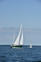 2019 Around Marthas Vineyard A_1128