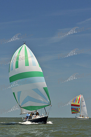 2014 Southern Bay Race Week D 1126