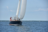 2019 Around Marthas Vineyard A_1405