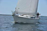 2019 Around Marthas Vineyard A_1379