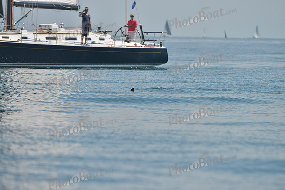 2019 Around Marthas Vineyard B_0190