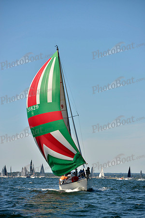 2017 Vineyard Race A_0237