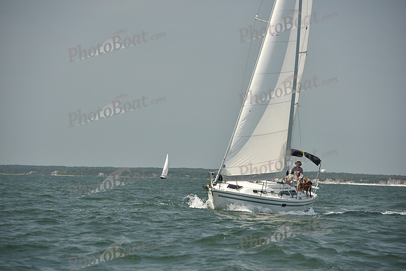 2018 Vineyard Cup A_0809