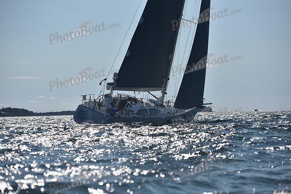 2021 Vineyard Race B 1916