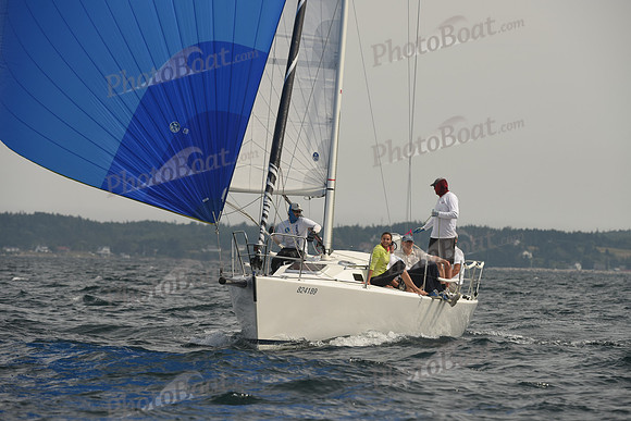 2016 Chester Race Week C_1479