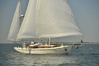 2017 Southern Bay Race Week B_0177