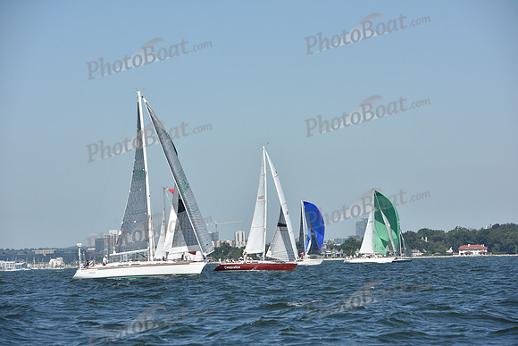 2019 Vineyard Race A_0198