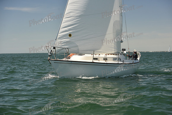 2024 Figawi 0428
