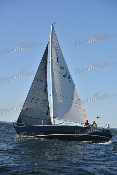 2021 Vineyard Race B 2818